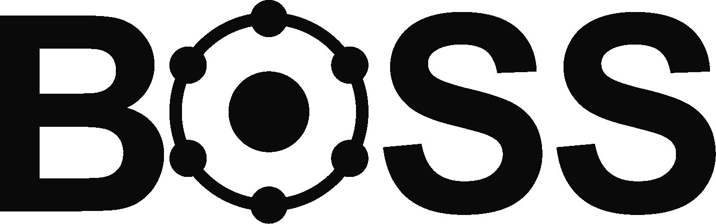 BOSS logo